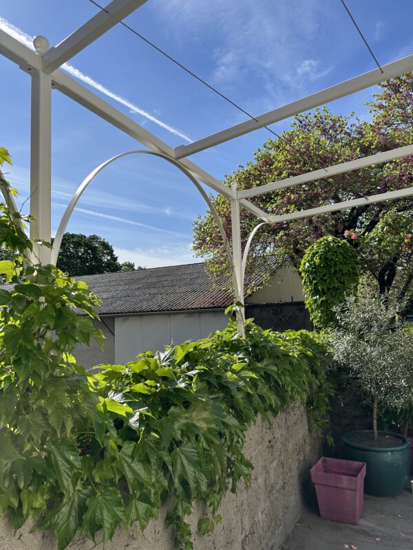 pergola sur mesure Arches vigne vierge
