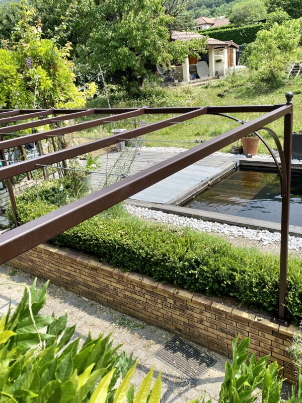 pergola sur muret glycine