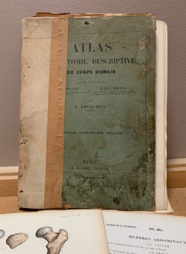 atlas anatomie Bonamy Braca Beau edition Masson Paris 1844 académie de médecine 1